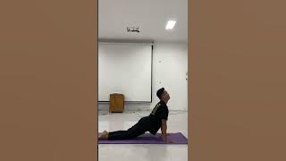12 gerakan yoga surya namaskara tugas mata kuliah yoga