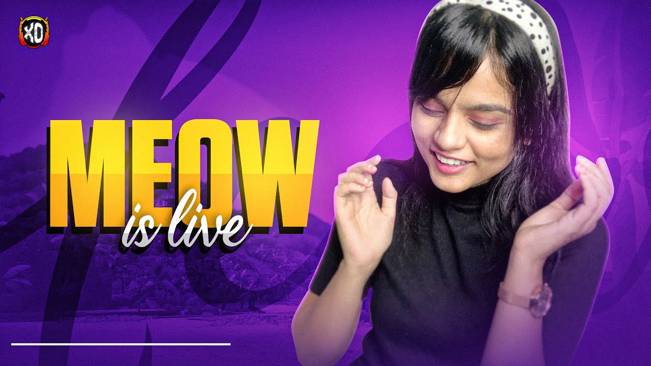 I am a meme | Meow16K Live