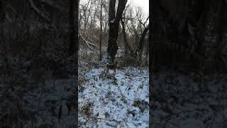 VID 20201117 095244