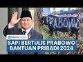 Fakta Sapi Bertulis Prabowo: Ternyata 2024 Silam, Sapi Kurban 2026 Tertulis 'Bantuan Kemasyarakatan'