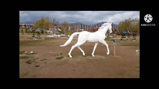Hayvanları tanıyalım şarkı çizgi film bebekler için sesleri şarkısı miniyo belgesel Beyaz at koşar