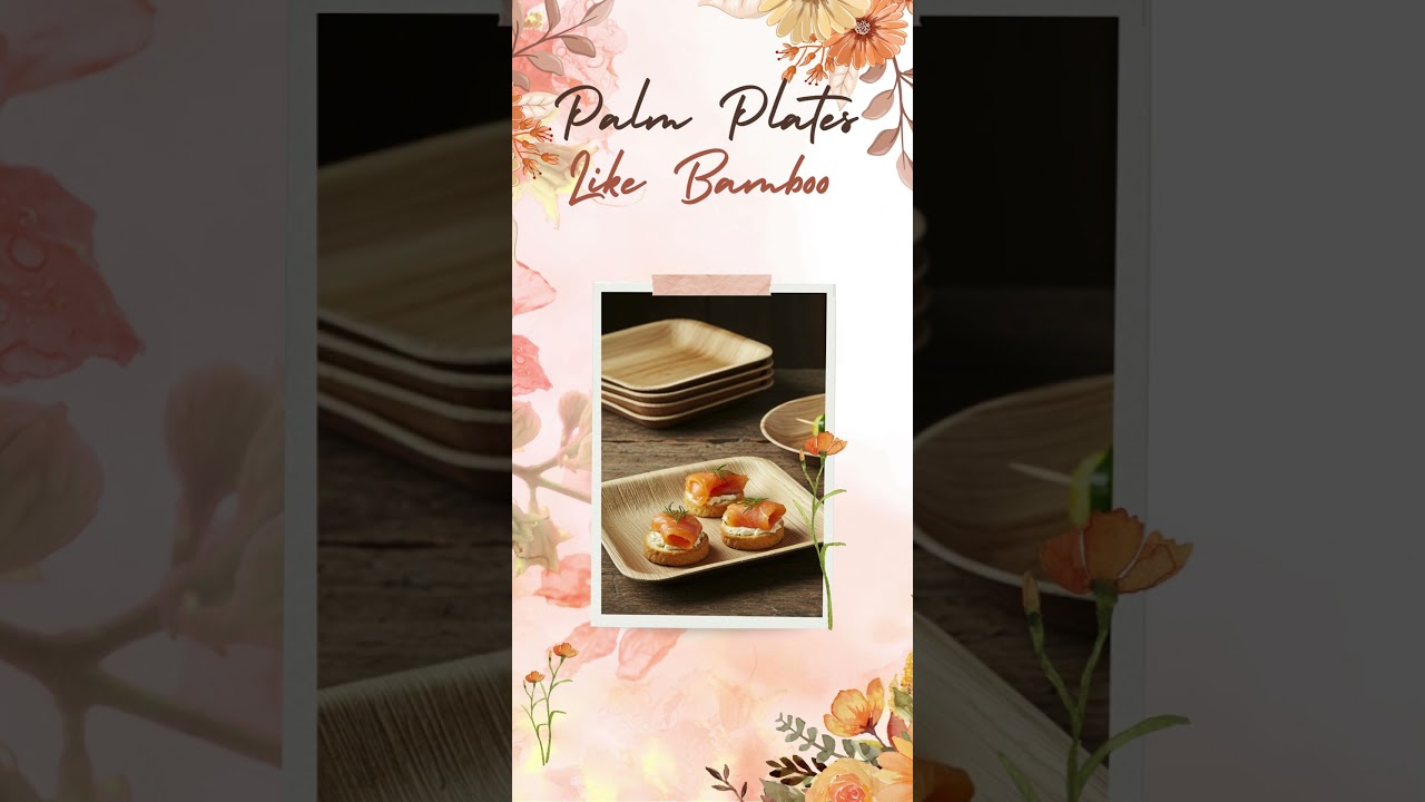 Eco Dining Made Simple – Palm Leaf Plates Like Bamboo, Direct from CA & NJ