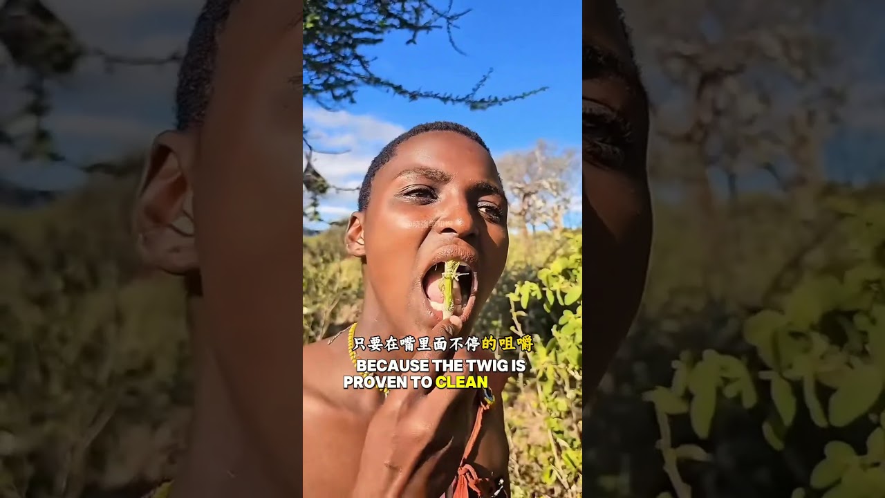 still using an old toothbrush made from tree branches