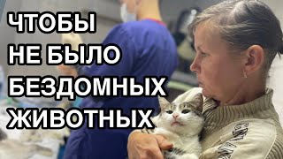 Спасение животных/ Стерилизация собак и кошек в приюте для животных - Хвостатое счастье