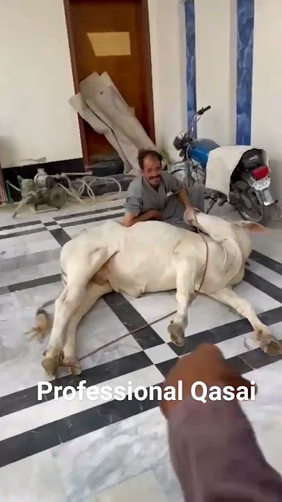 Professional Qasai #eidspecial #qurbani