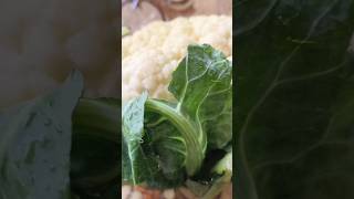 desi style phool gobhi recipe 🤤😜😋