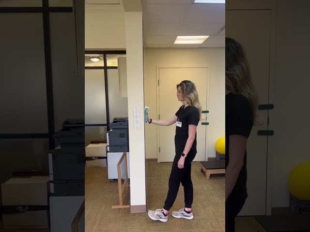 Occupational Therapy Exercises : Wall Walks - Flexion