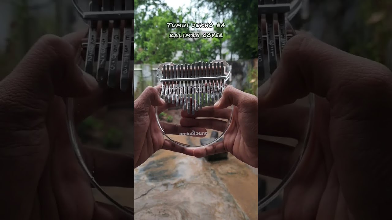 Tumhi dekho na kalimba cover   shorts  tiktok  kalimbacover