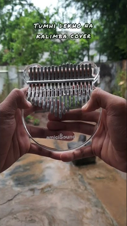 Tumhi dekho na kalimba cover  #shorts #tiktok #kalimbacover