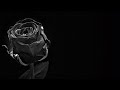 مشات هي و خلاتني كلمات أغنية حزينة 2020 mp3