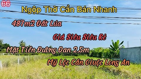 Đất Cần Giuộc Long An Bán 487m2 Đất Lúa Đã Lên Nền Cao Giá Siêu Rẻ Chủ Đang Ngộp Đường Xe Hơi