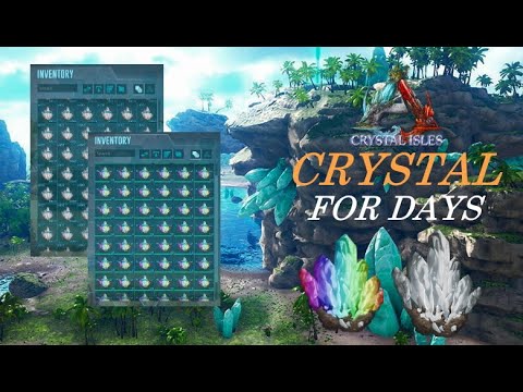 Crystal Farm on Crystal Isles *They are called crystal wyvern for a