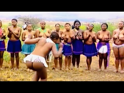 HER REED DANCE SHOCKED EVERYONE.|VIRGIN REED DANCING|