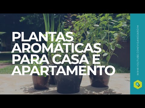 Vídeo: Plantas Para Jardim De Aromas Na Sala