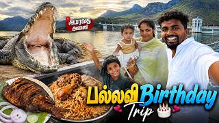 🔥🎂பல்லவி Birthday Trip | அமராவதி அணை, முதலை பண்ணை & Fish Fry Vlog🐊 | K7