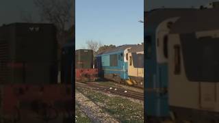 DO TUNISIA🇹🇳🚆#shorts #shortvideo #train #railway #railtrack #railwaycontent #youtube #viral#DO #RAIL