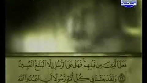 016 An Nahl سورة النحل علي الحذيفي