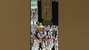 #egzonibrahimi #سورة_الإخلاص #ikhlas #tiktokeffects #unfrezzmyaccount #trustonallah #jaidmeel