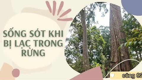 The KaTu/Cơ Tu people - Sống sót khi bị lạc trong rừng sâu