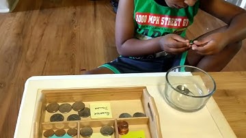 Preschool activity - Coin sorting