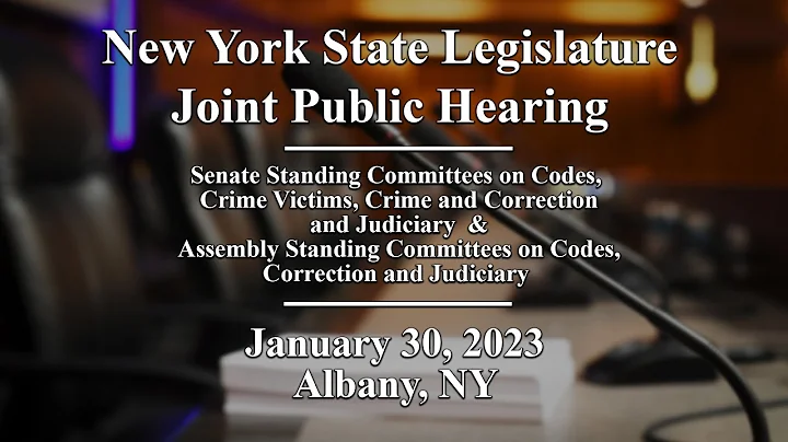 NYS Legislature Joint Public Hearing: Criminal Justice Data - 01/30/23 - DayDayNews
