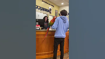 Talking parrot says ridiculous things prank