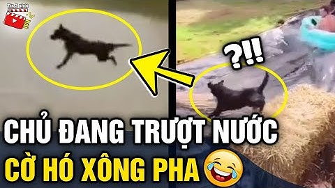 Tin 3 Phút Hài | Tổng hợp tình huống 