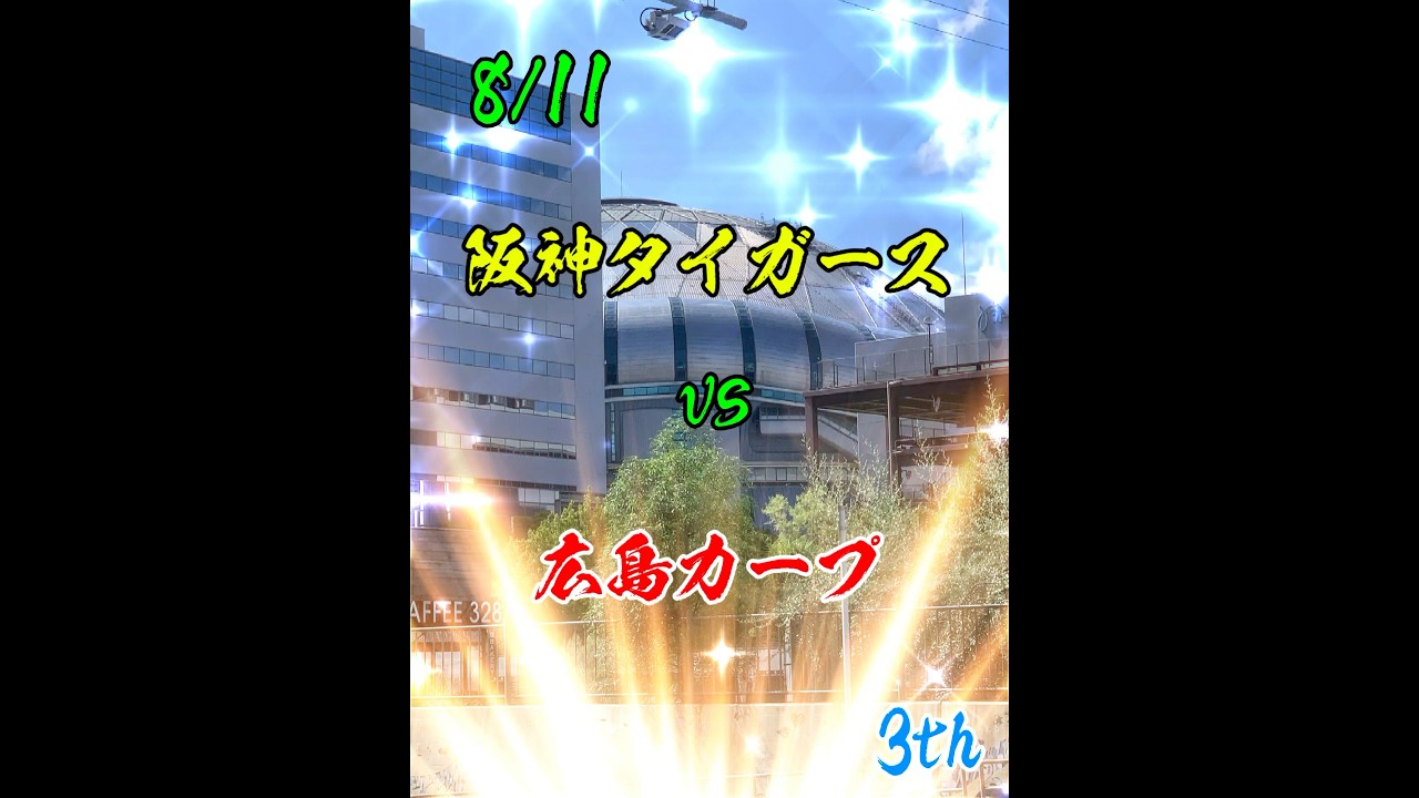 8⁄11 阪神vs広島 京セラドーム ペア 2025年8月11日 広島東洋 8⁄11 阪神vs広島 京セラドーム ペア 2025年8月11日 広島東洋