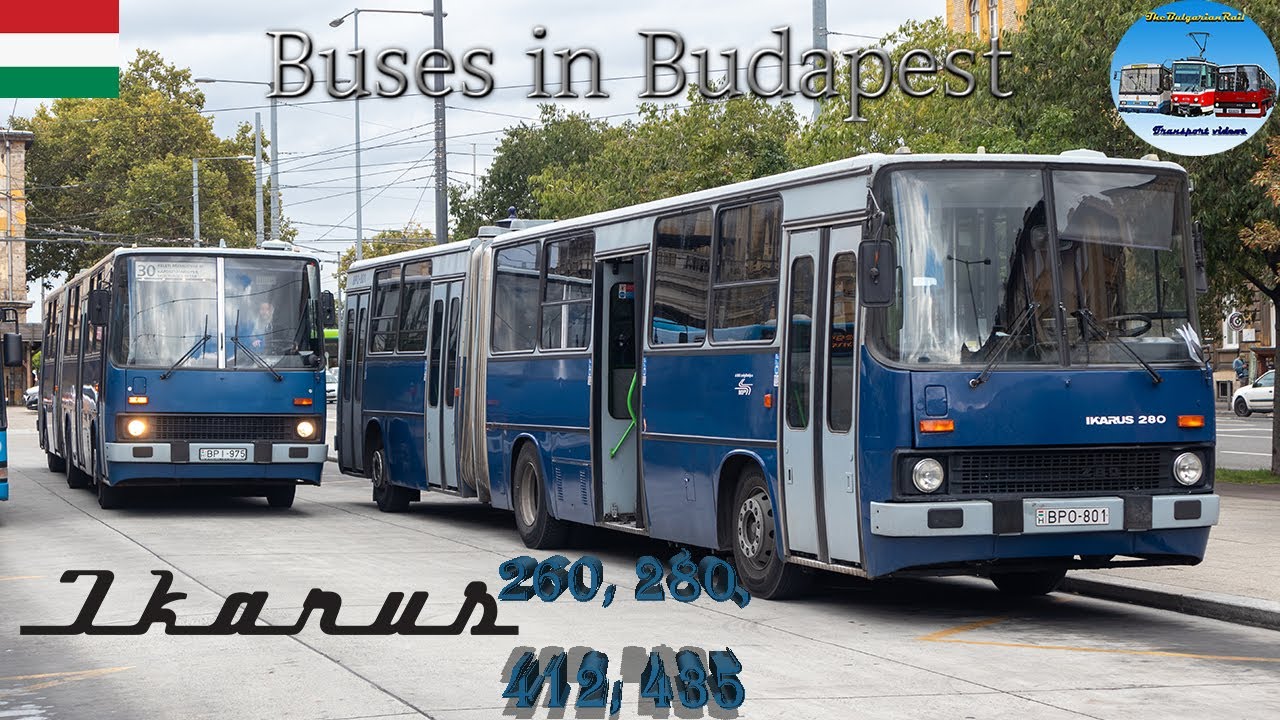 Ikarus Buses in Budapest 🇭🇺  IK 260, 280, 412 & 435🚌[2022] 