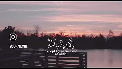 مَا أَصَابَ مِن مُّصِيبَةٍ إِلَّا بِإِذْنِ اللَّهِ ~ القارئ رعد الكردى
