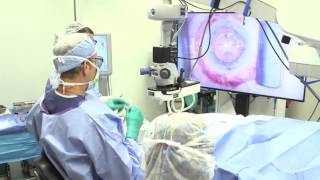 TrueVision Uses Computer-Guided 3D Visualization to Improve Ergonomics & Productivity