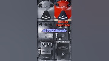 Dunlop Fuzz Face Silicon/Germanium vs Big Muff vs Fuzz Phrase LTD vs  FZ-1w vs 70 Fuzz vs JHS Bender