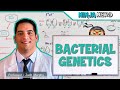 Bacterial Genetics