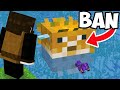 This Minecraft Mob Is Illegal... Here&#39;s Why