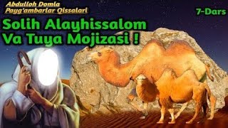 7.Abdulloh Domla-Solih Alayhissalom Va Tuya Mojizasi / Солих Алайхиссалом Ва Туя Можизаси