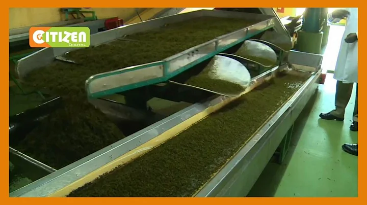 Orthodox and specialty tea production grows