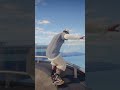 New San Van Line Beachside | #skate #skateboarding #skateboardvibes #easkate