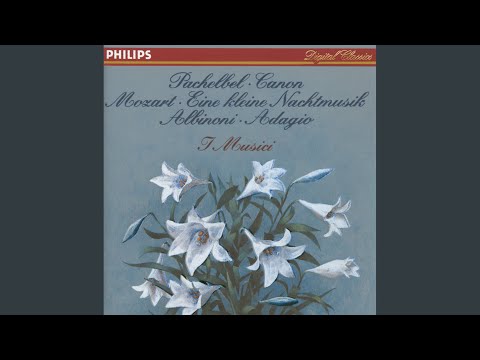 Hoffstetter: String Quartet in F, H.III No.17, Op.3 No.5 - "Serenade" - 2. Andante cantabile