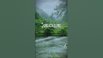 الشيخ ماهر المعيقلي،قران كريم، #ارح_سمعك #القرآن_الكريم #راحة_نفسية #تلاوة_خاشعة  #quran