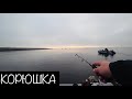 Ловля Корюшки с лодки. Финский Залив. Осень 2019