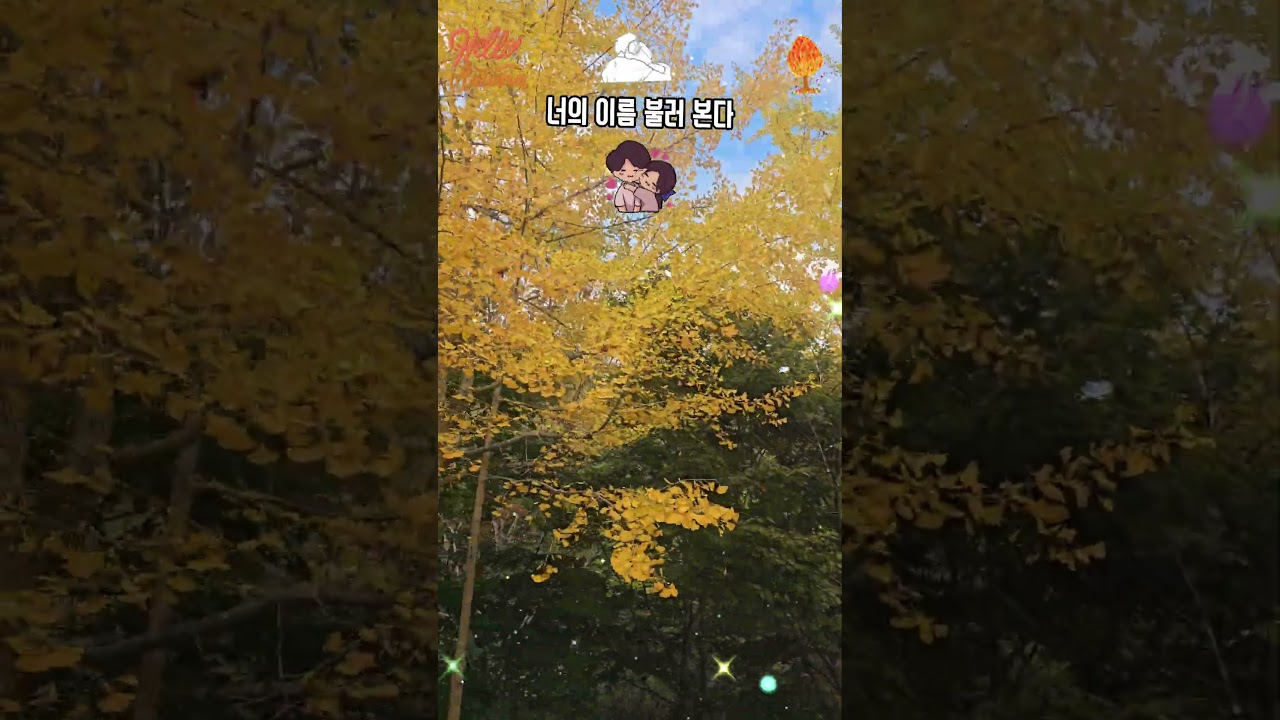 가을 단풍