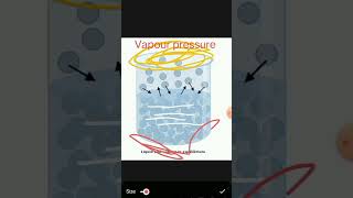 vapour pressure