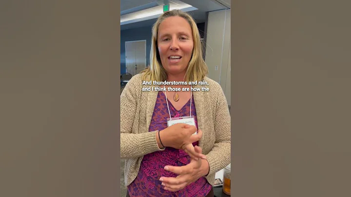 What We Love: Rain on the Critical Zone