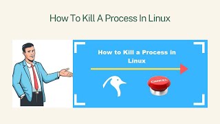 How to Kill A Process In Linux | ITTrainingsByUmarDraz