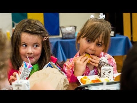 healthy-foods-101:-how-to-make-smart-choices-for-kids