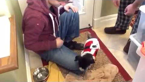 Lucy in Santa suit
