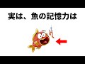 【知らないと損する】9割が知らない釣りに関する雑学