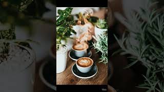 Hot Coffee