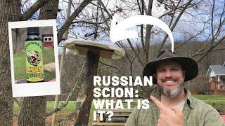 What is a Russian Scion and how does it work?