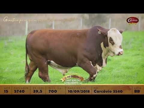 Lote 15 - TAT 5740